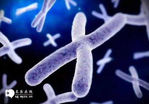 西安试管助孕公司：2023供卵试管婴儿申请流程、成功率、及费用介绍