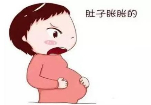 能不能做试管婴儿与女性身体条件存在着很大的关系