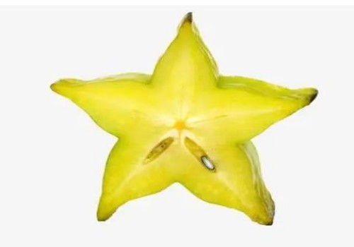 西安助孕生子：胚胎4ab和4bb的区别，一文带你了解