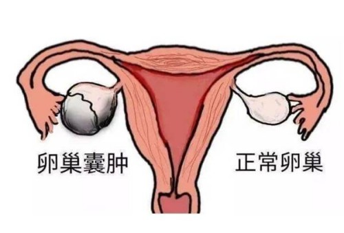 西安助孕公司：打完促排针之后的第三天雌二醇的正常水平应该是多少？