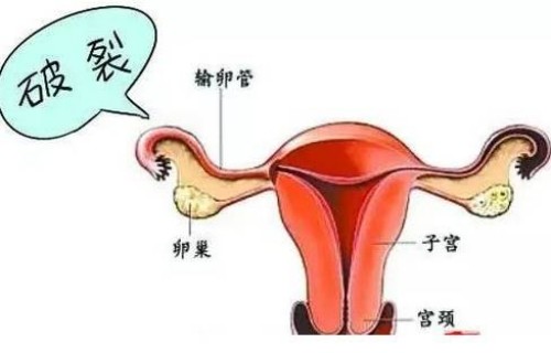 2023年东莞高龄试管婴儿最好的医院排名前十推荐，附详细介绍！