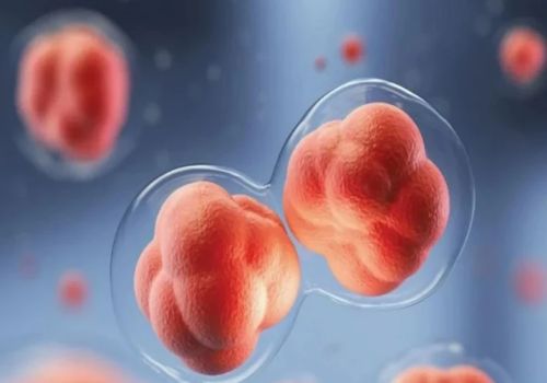 西安试管助孕公司：女性怎样怀孕几率大？教你几个好方法，快速受孕