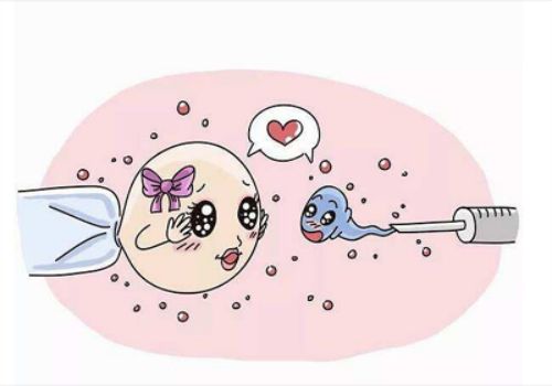 西安助孕公司：弱精症食疗偏方分享，多吃这些食物能有效缓解症状