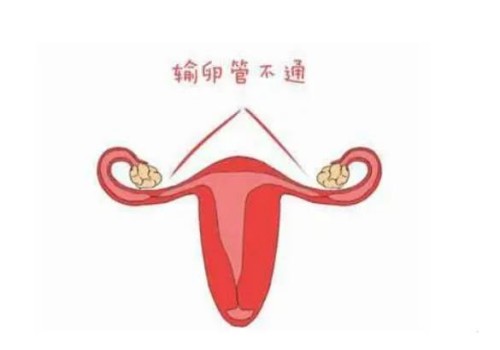 医院精子库免费申请精子要多少钱,免费申请精子要什么条件