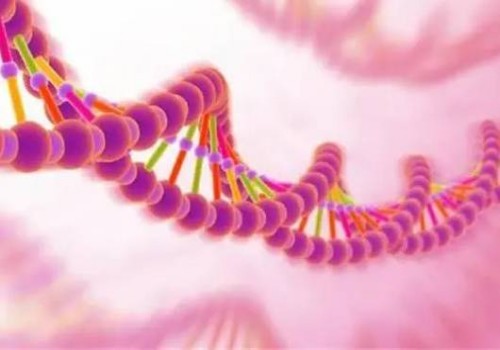 卵子质量事关胎儿的健康，生育卵子质量过关是前提