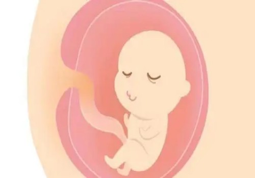虾仁给小孩做应该怎么做,怎么给宝宝做虾仁辅食