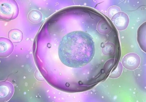 2023年做试管婴儿的家庭别再相信试管婴儿不成功包退款的骗局了！