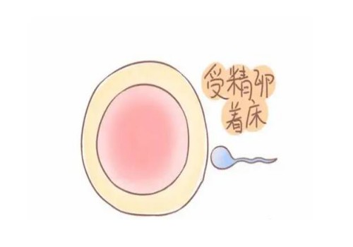 生育百科：细数关于冻卵你不知道的哪些事儿